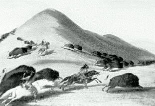 Picture of Native Americans Hunting Bison